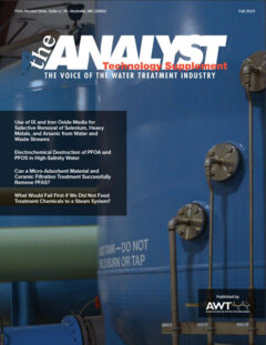 Click the Cover to View the Complete Issue